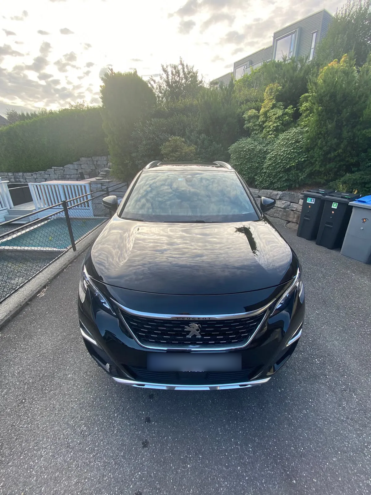 Peugeot 3008 2020 6
