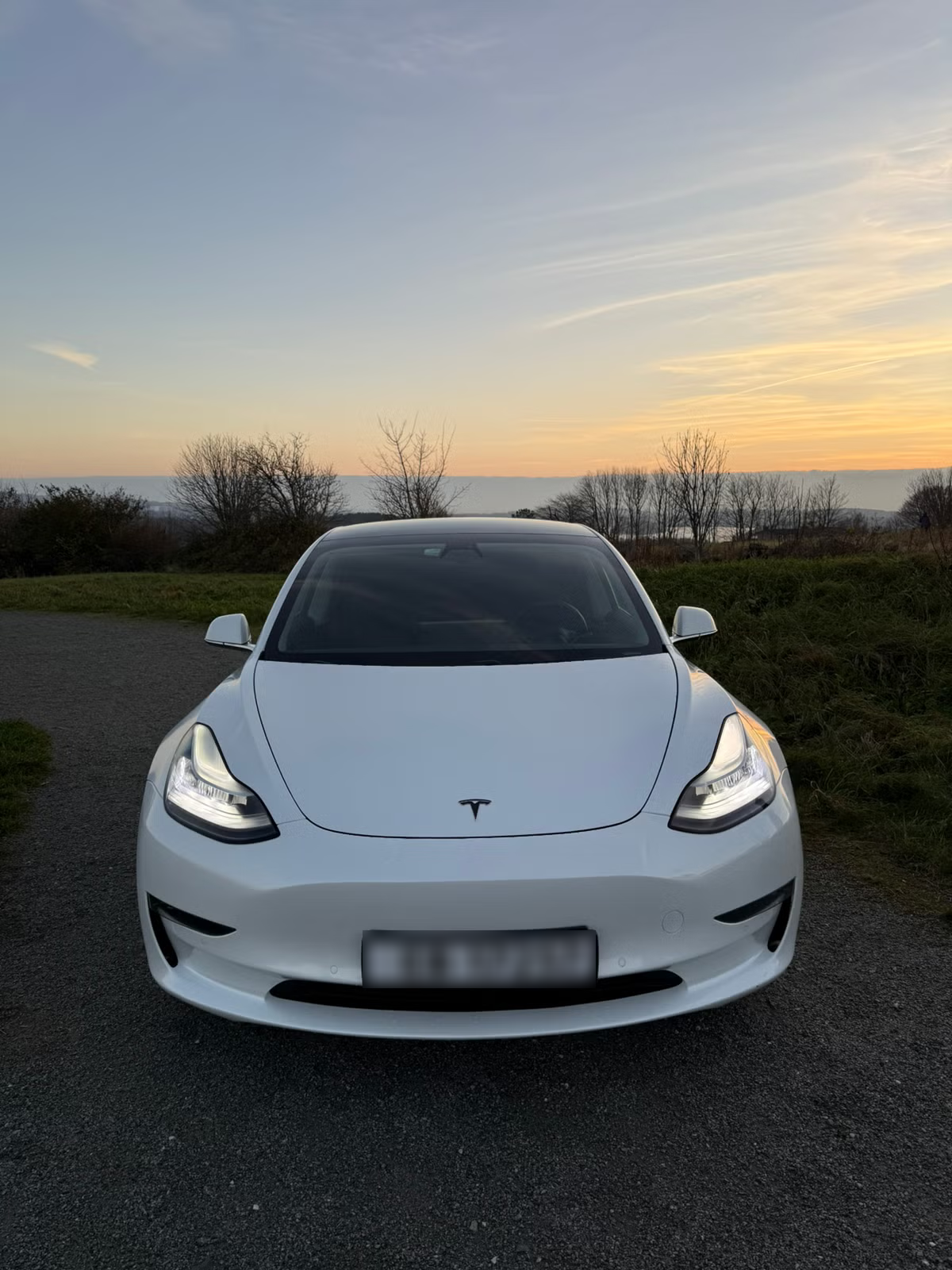 Tesla Model 3 Long Range AWD 2019 5