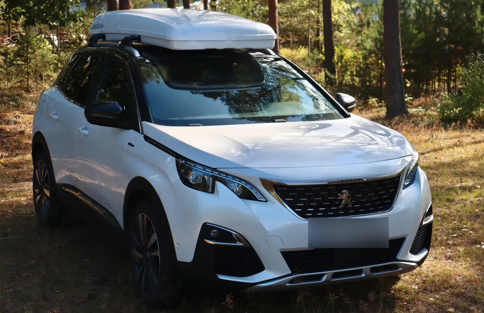 Peugeot 3008 2019 4
