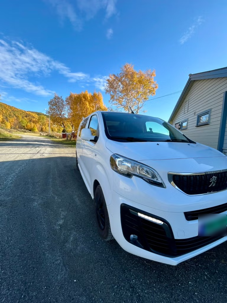Peugeot Expert 4x4 Mester 2018 6