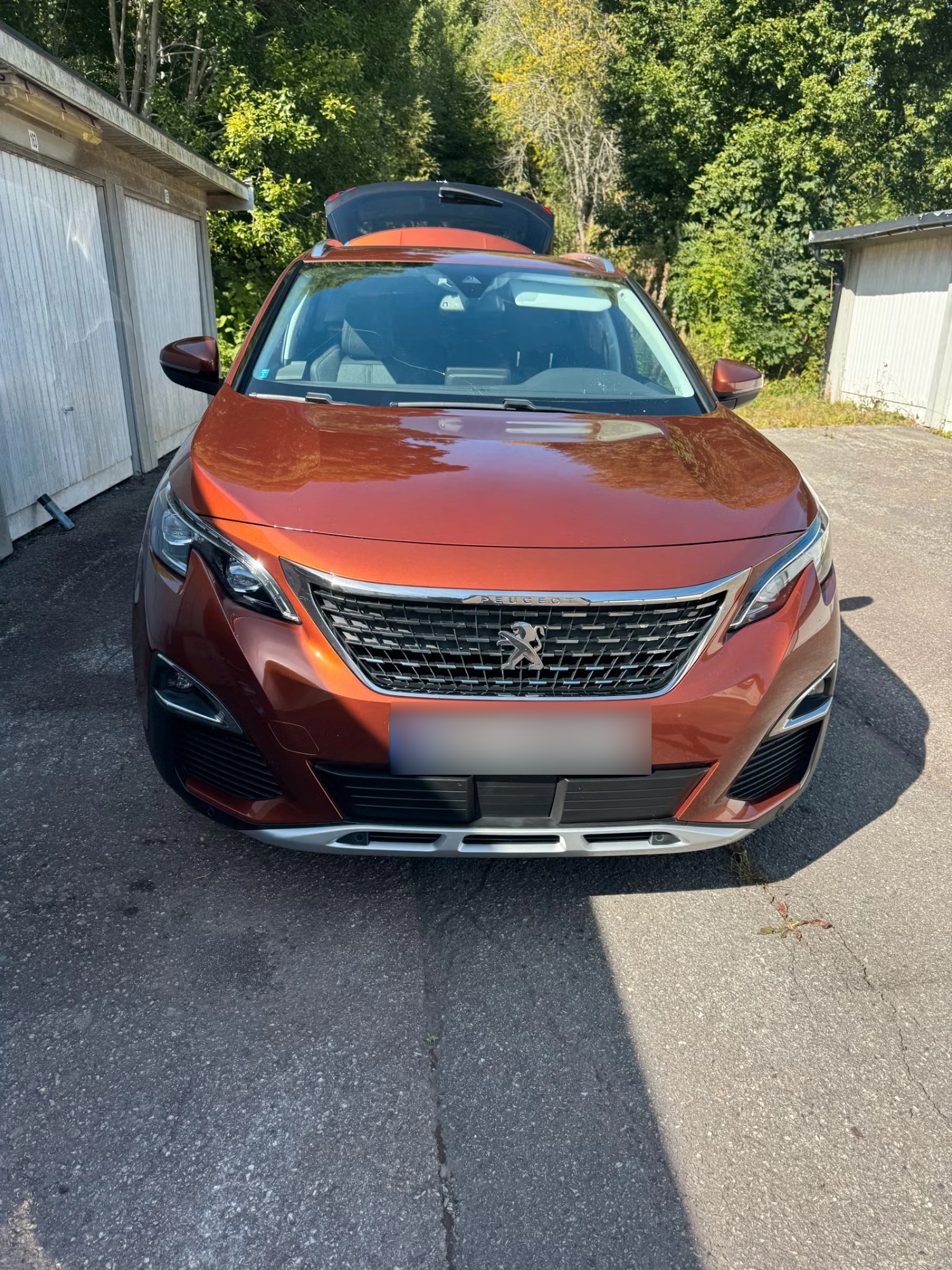 Peugeot 3008 2018 5