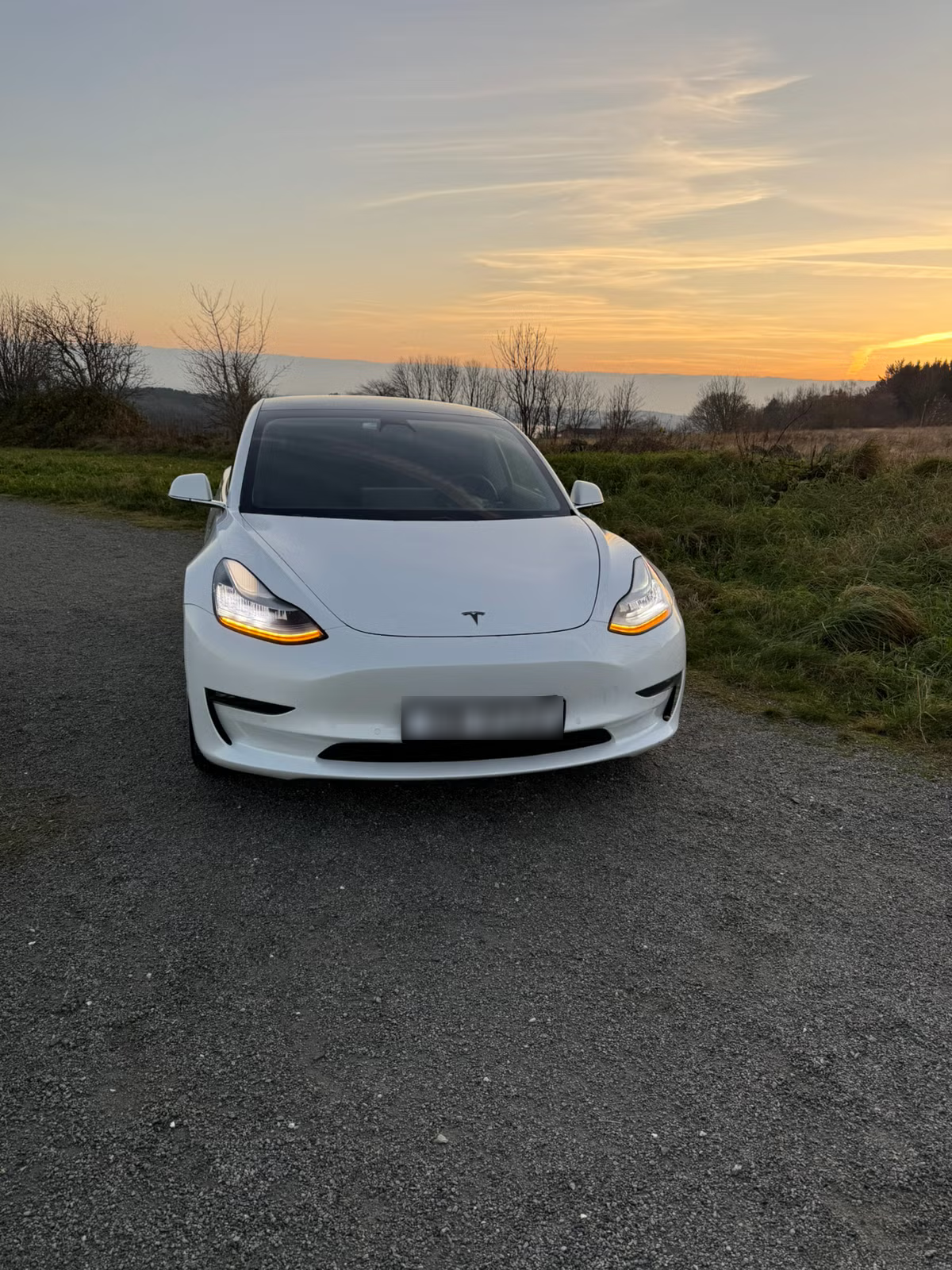 Tesla Model 3 Long Range AWD 2019 3