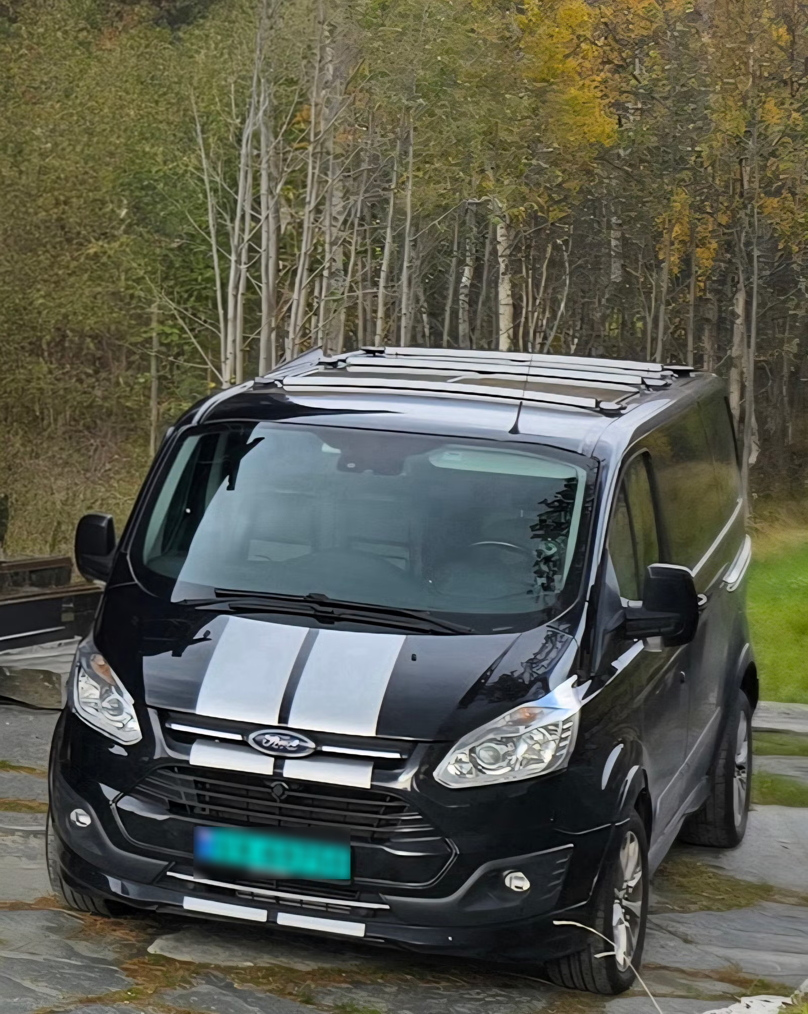 Ford Transit Custom 2018 2