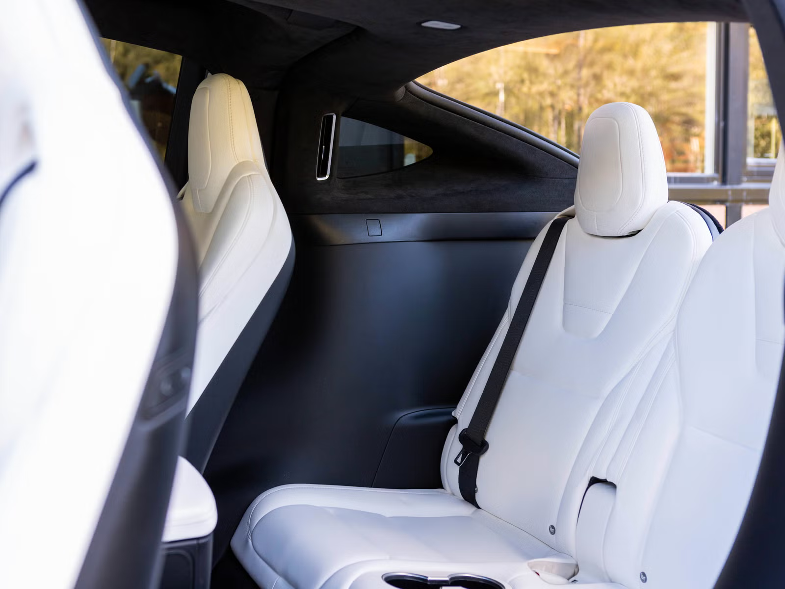 Tesla Model X 100D 2017 22