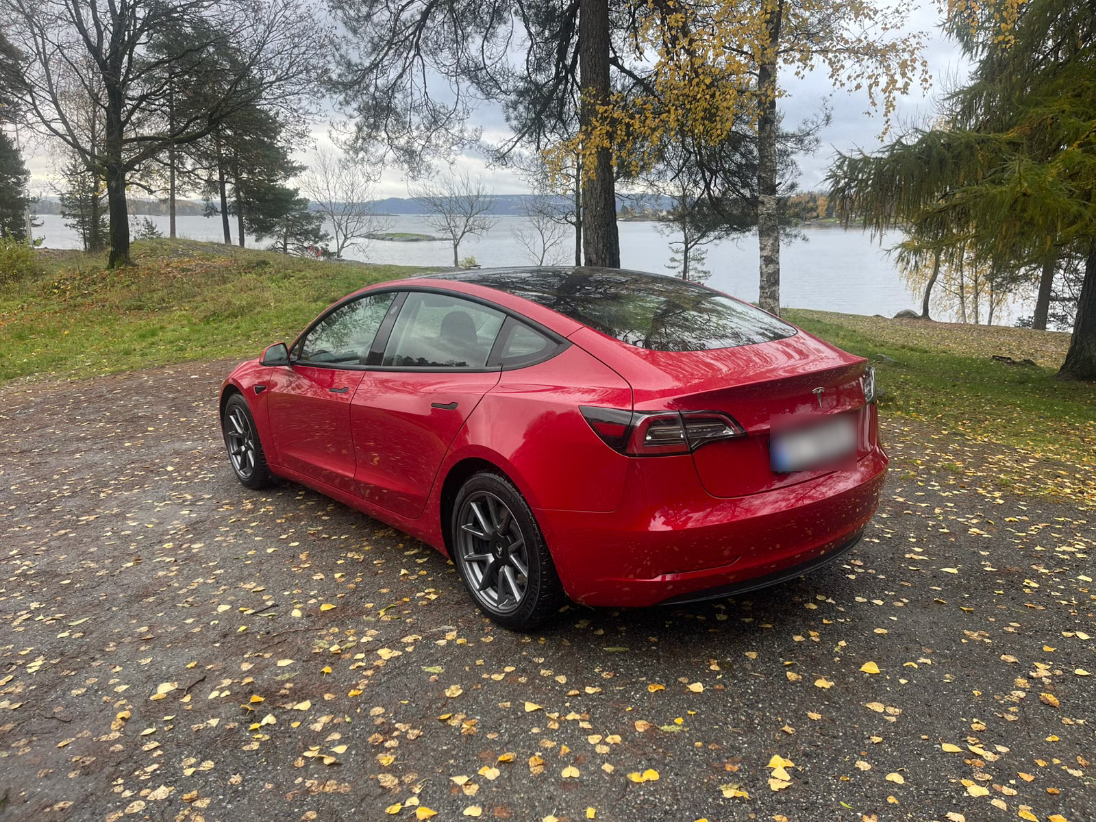 Tesla Model 3 Standard Range Plus 2021 9