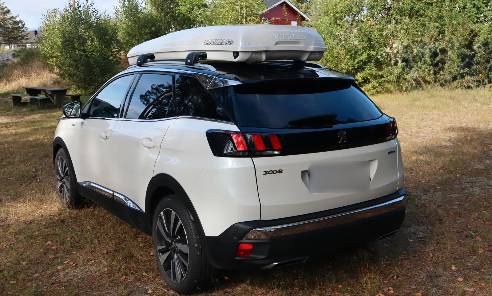 Peugeot 3008 2019 7